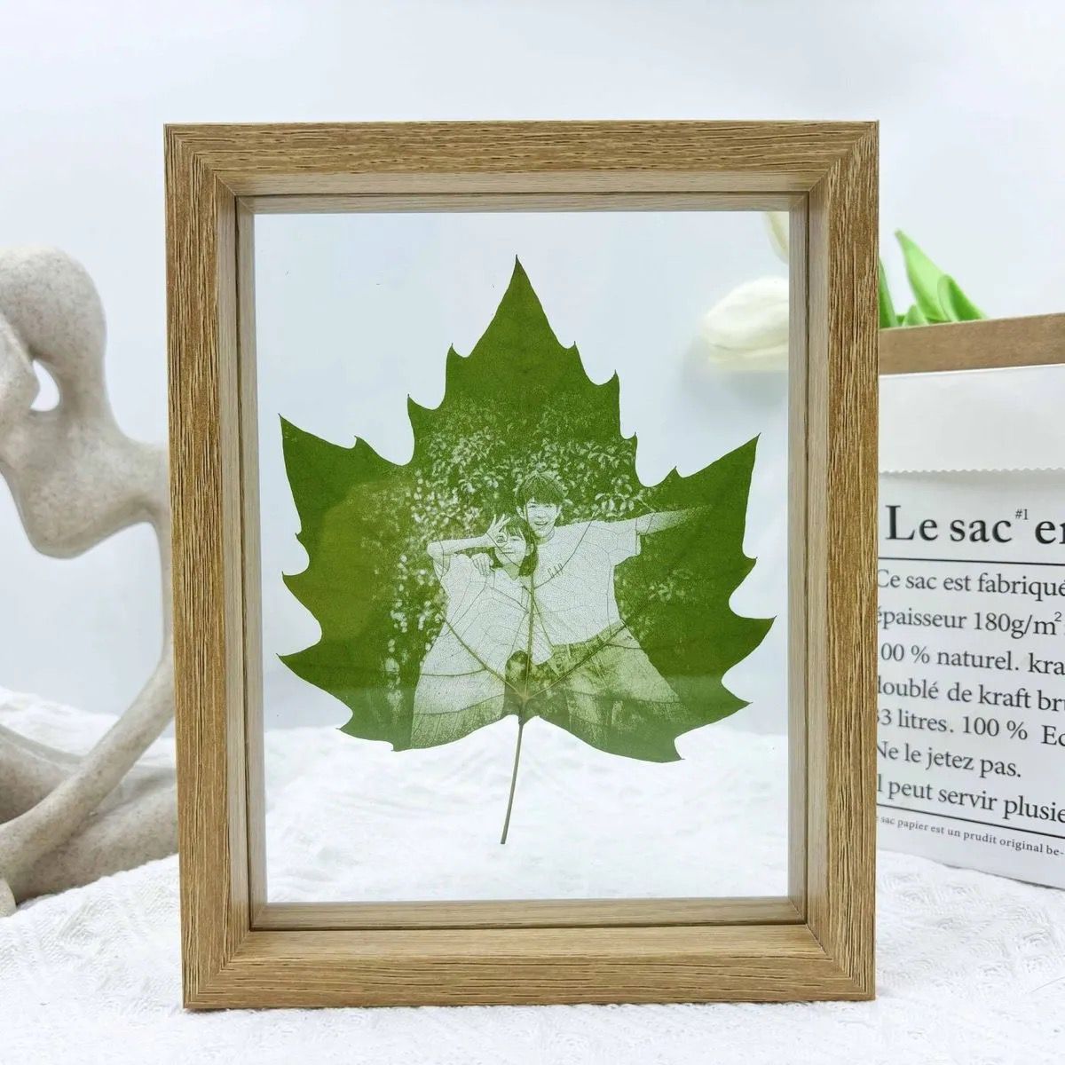 Real Preserved Moss in Glass & Wood Frame