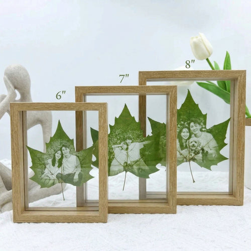 Real Preserved Moss in Glass & Wood Frame