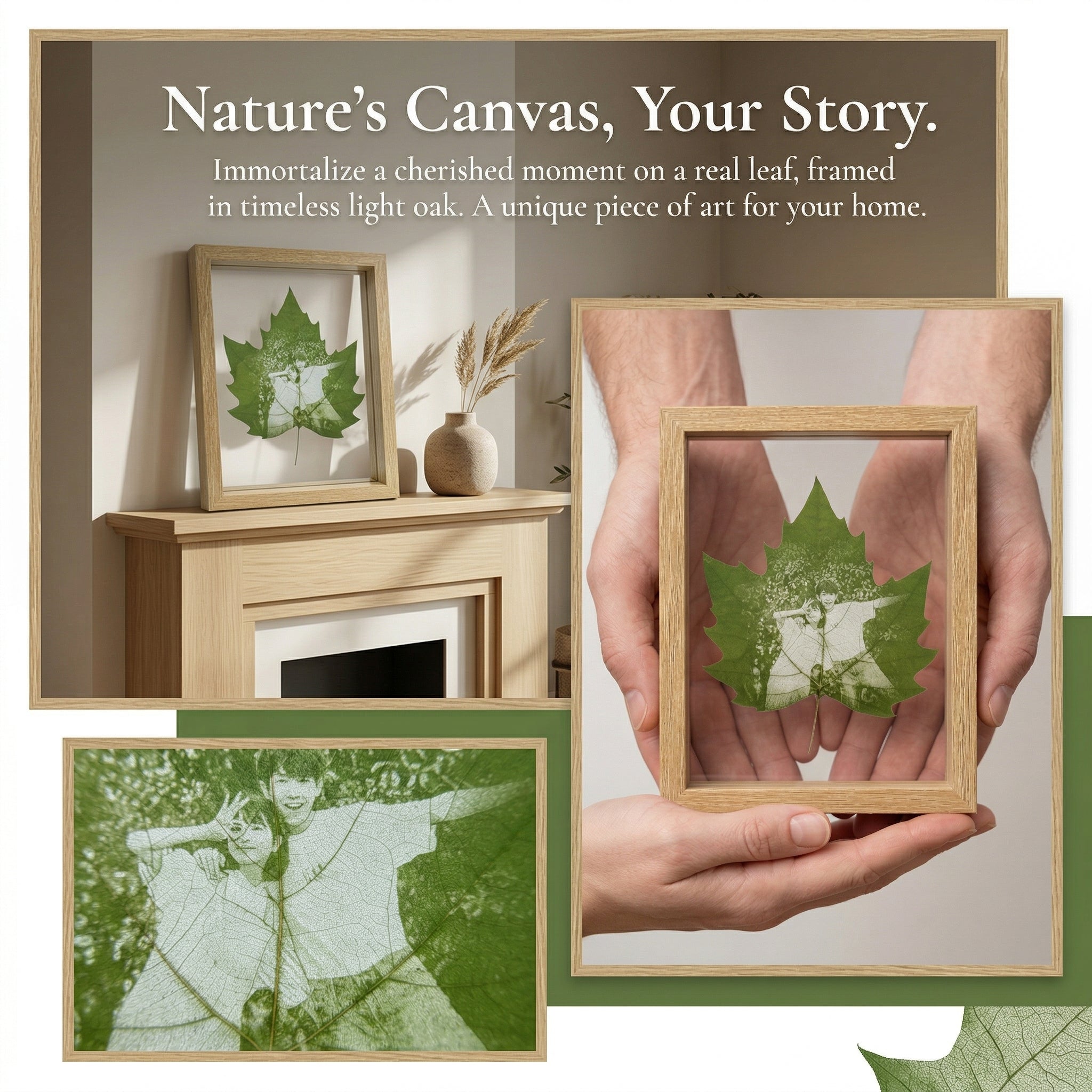 Real Preserved Moss in Glass & Wood Frame