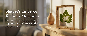 Real Preserved Moss in Glass & Wood Frame