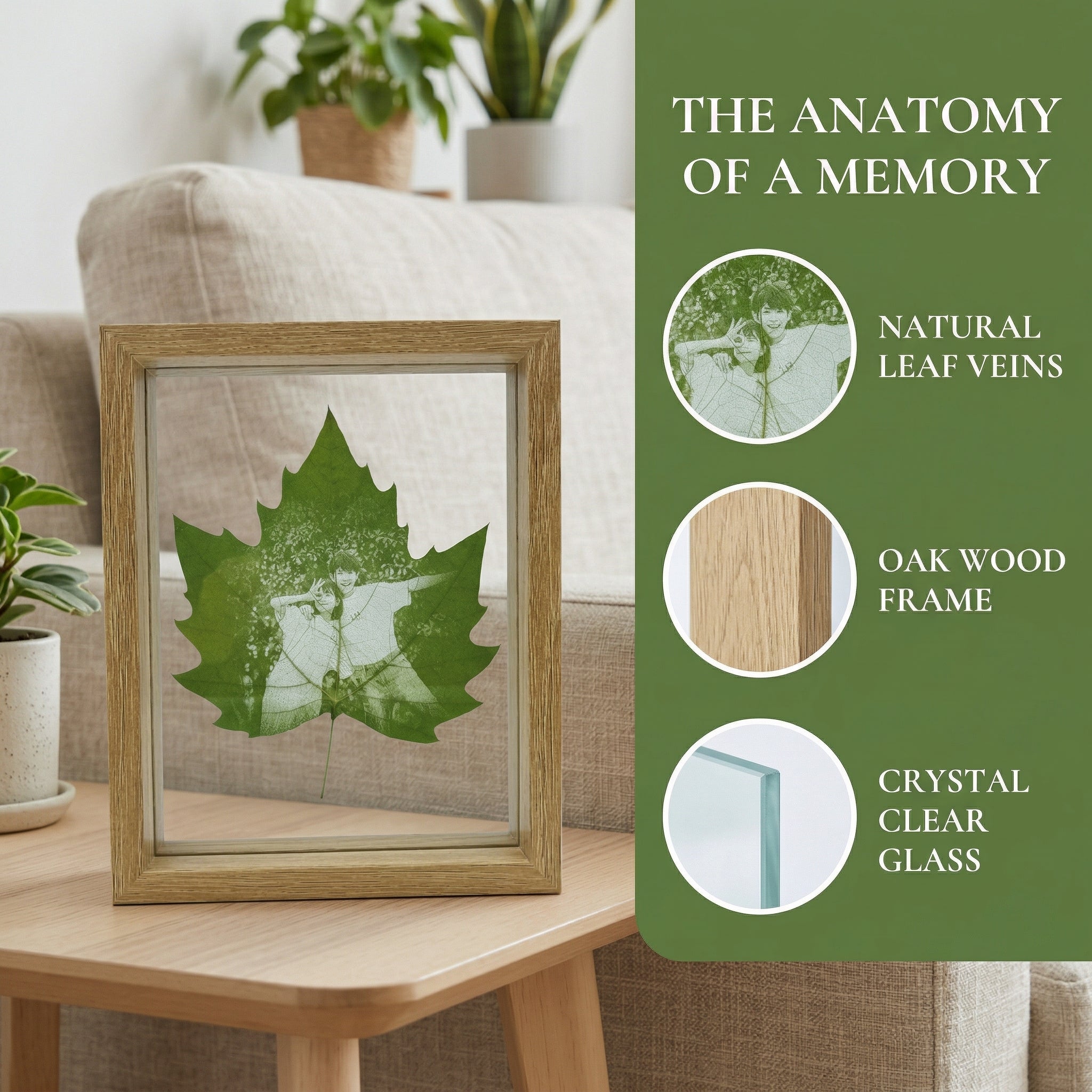 Real Preserved Moss in Glass & Wood Frame